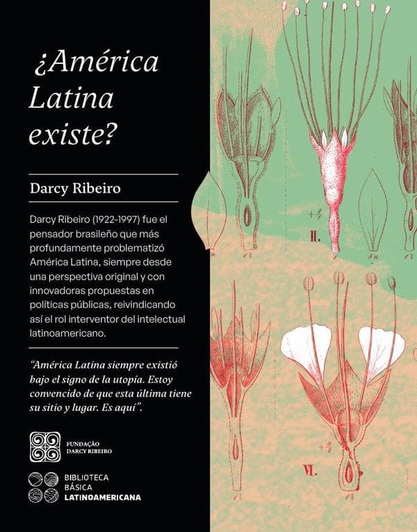 ¿América latina existe?