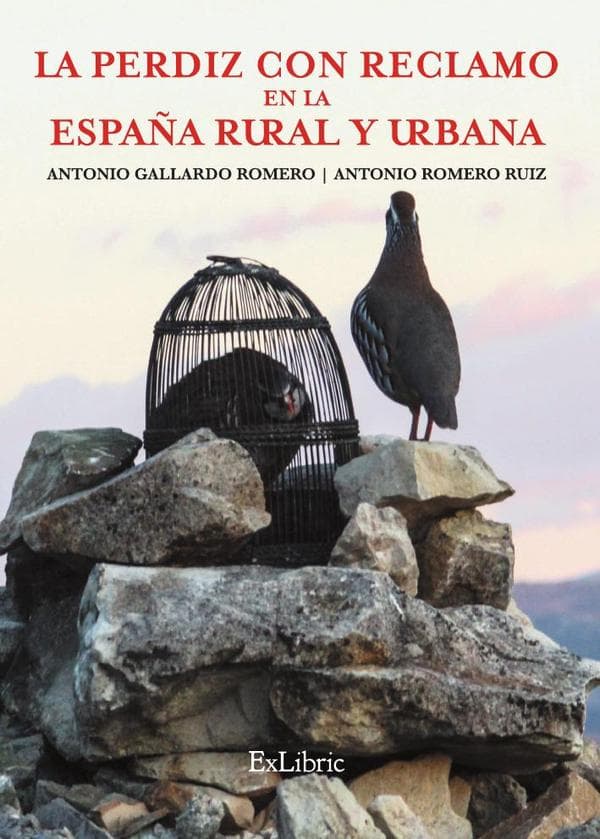 La perdiz con reclamo en la España rural y urbana