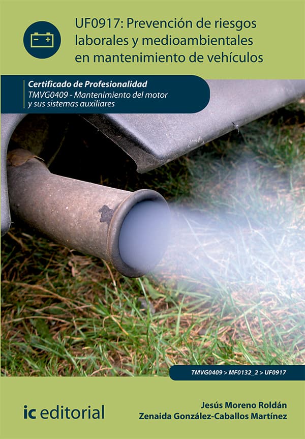 Prevención de riesgos laborales y medioambientales en mantenimiento de vehículos. Tmvg0409 - mantenimiento del motor y sus sistemas auxiliares