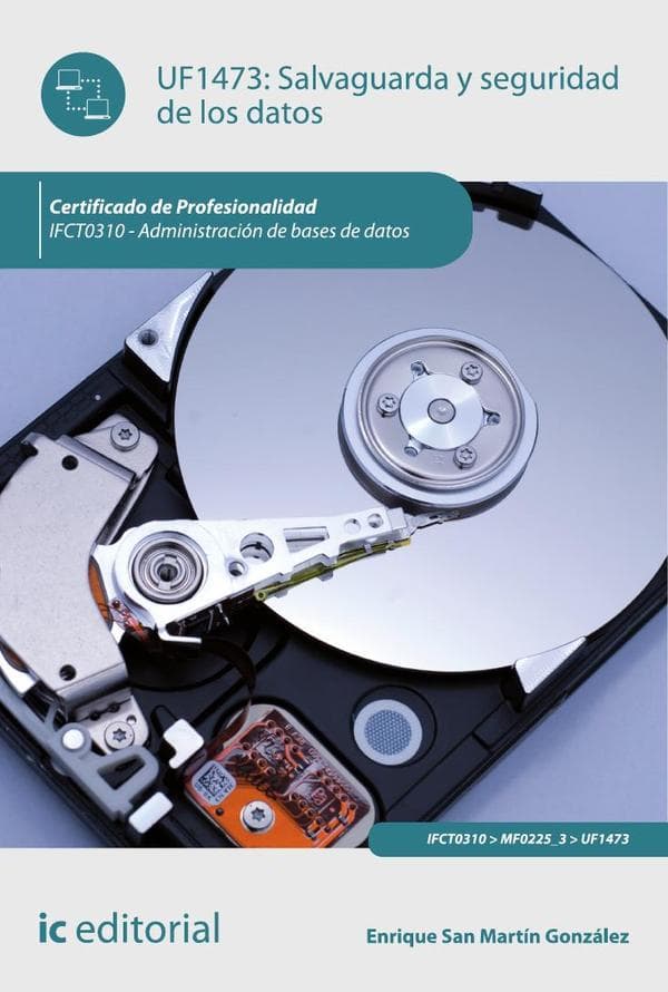 Salvaguarda y seguridad de los datos. Ifct0310 - administración de bases de datos