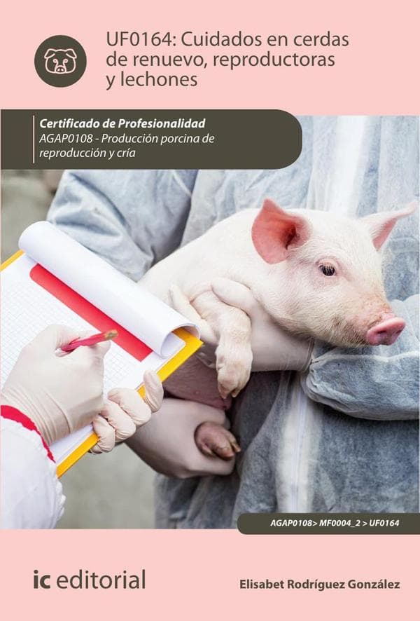 Cuidados en cerdas de renuevo, reproductoras y lechones. Agap0108 - producción porcina de reproducción y cría