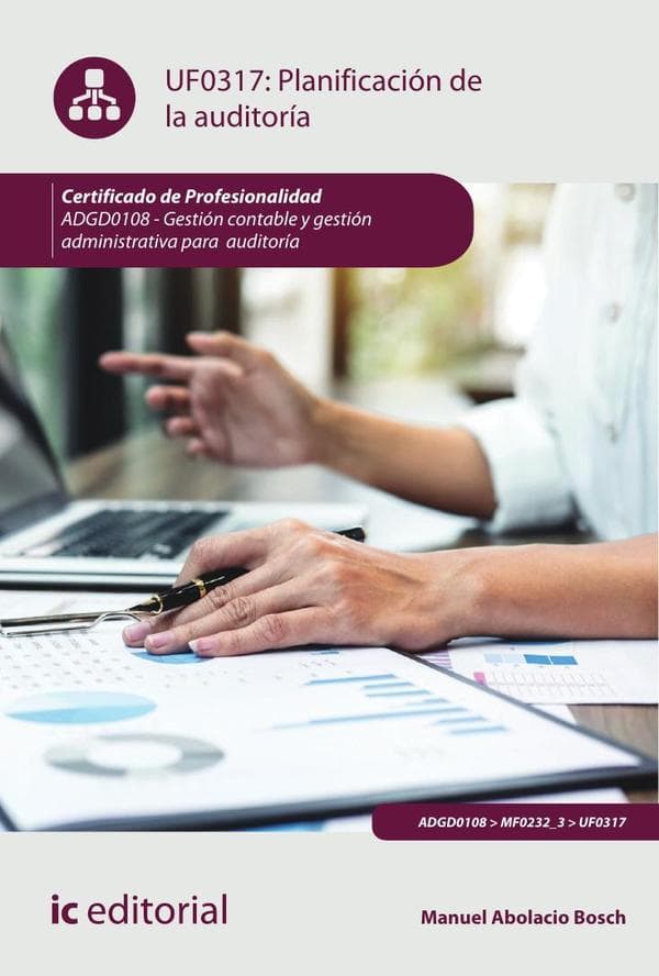 Planificación de la auditoría. Adgd0108 - gestión contable y gestión administrativa para auditorías