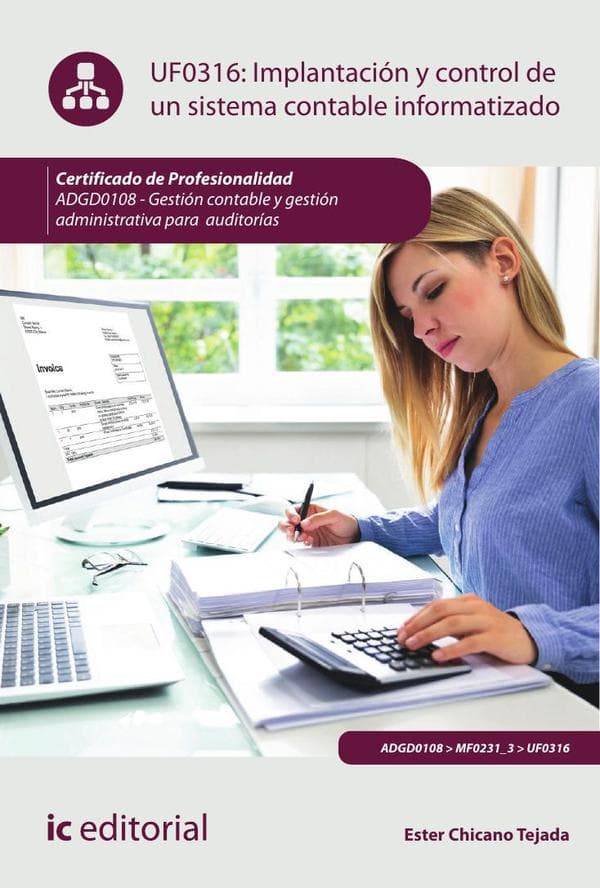 Implantación y control de un sistema contable informatizado. Adgd0108 - gestión contable y gestión administrativa para auditorías