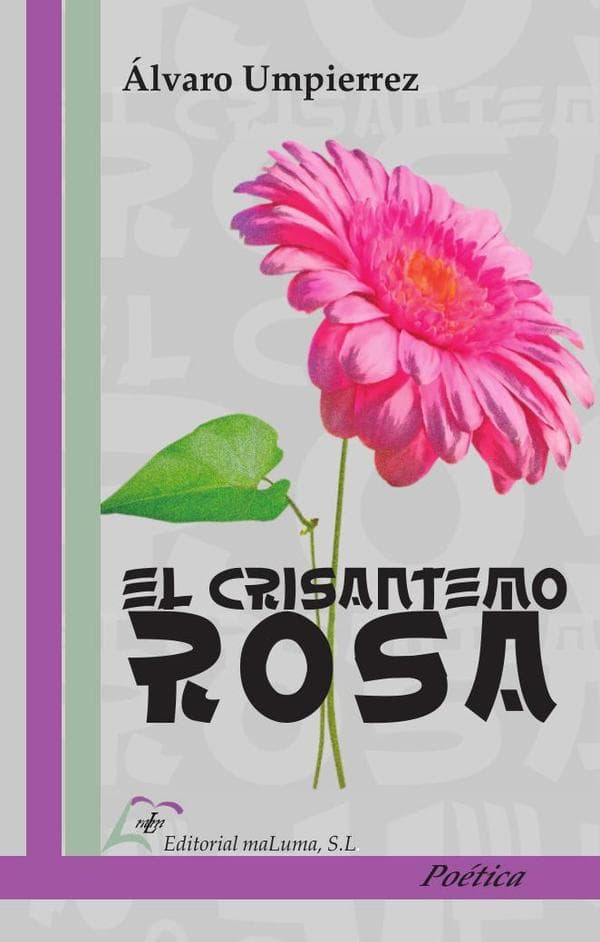 El crisantemo rosa
