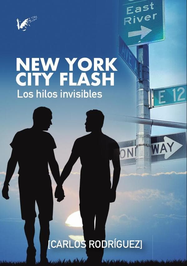 New york city flash