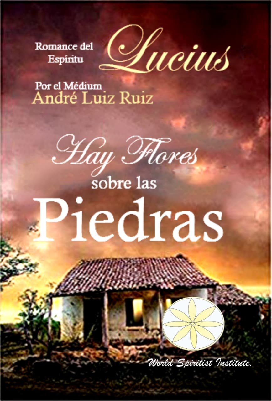 Hay flores sobre las piedras