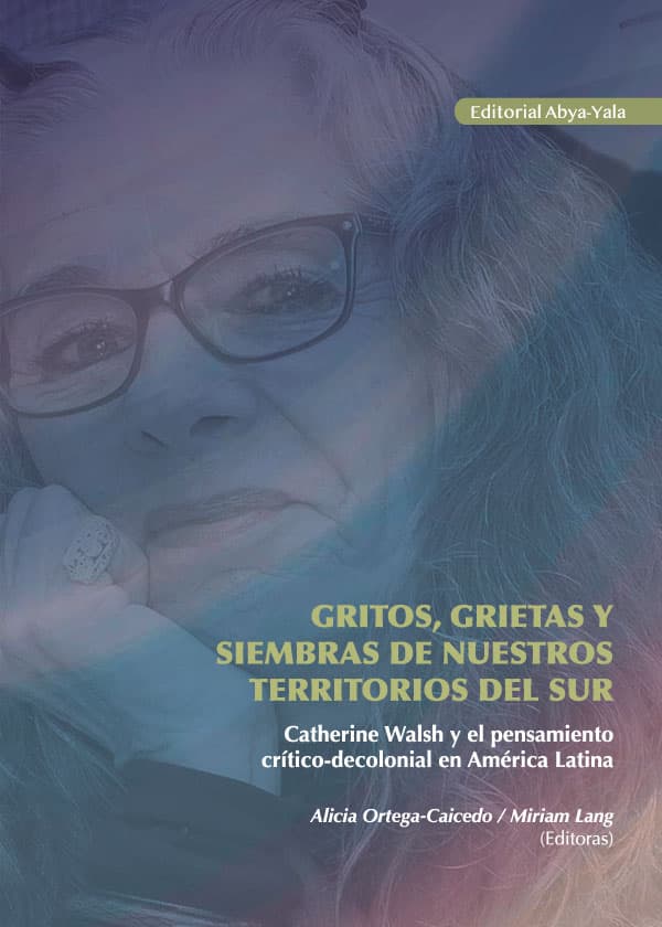 Gritos, grietas y siembras de nuestros territorios del sur